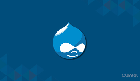 Drupal Web Development Services